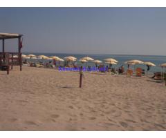 cerco ragazza per assistente bagnanti