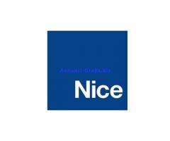 ASSISTENZA TECNICA CANCELLI AUTOMATICI CAME LUCCA