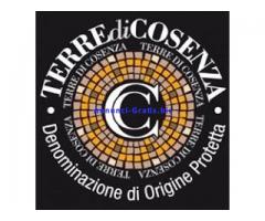 Vini Dop Terre di Cosenza – Sottozona Pollino