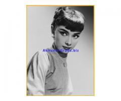 Vendo Quadri con Originali Audrey Hepburn