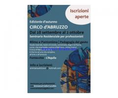 Seminario Residenziale 'Mimo e Pantomima - Pedagogia del Gesto'