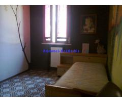 Appartamento 95 mq.in centro a Migliarino(Fe) Appartamento 95 mq.in centro a Migliarino(Fe)