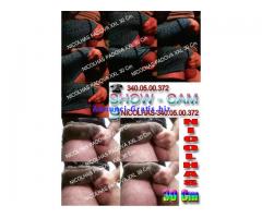 GIGOLO-ACCOMPAGNATORE-VENETO-NICOLHAS-3400500372