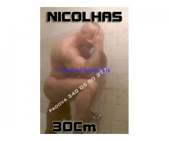 GIGOLO-ACCOMPAGNATORE-VENETO-NICOLHAS-3400500372
