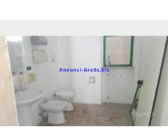 capannoni e uffici