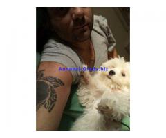 Cerco ragazza donna per sesso occasionale