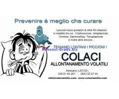 ALLONTANAMENTO VOLATILI
