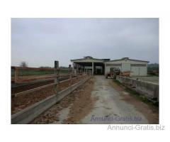 Azienda agricola con stalle e terreni € 650.000