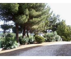 splendida casa con giardino