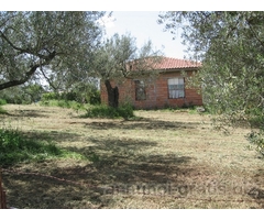 Rustico presso svincolo termale Rustico presso svincolo termale