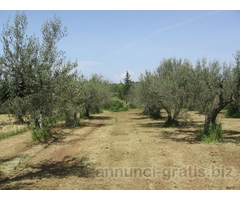 Rustico presso svincolo termale Rustico presso svincolo termale