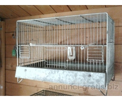 GABBIE PER ORNITOLOGIA - CANARINI PAPPAGALLI