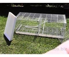 GABBIE PER ORNITOLOGIA - CANARINI PAPPAGALLI