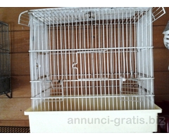 GABBIE PER ORNITOLOGIA - CANARINI PAPPAGALLI