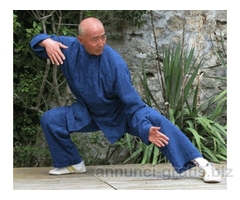 CORSI DI TAI CHI E QI GONG 10 EURO A ROMA