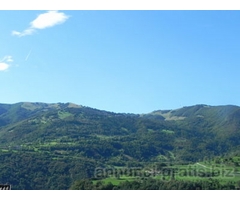 LAGO DI GARDA GARDASEE MONTE BALDO BRENTONICO CASA INDIPENDENTE 450 MQ AMPIO GIARDINO BIFAMILIARE