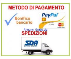 ▪ Collaboratori per lavoro da casa