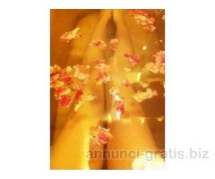 SEXY E BELLA RAGAZZE ORIENTALE