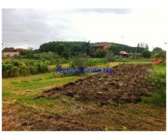 TERRENO EDIFICABILE ZONA LAGO TRASIMENO