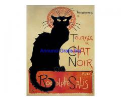 stampe e quadri con gatti