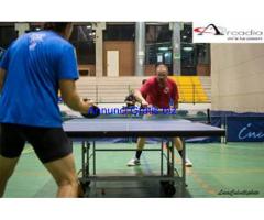 Playoff tennis tavolo Biella Piemonte- passionearcadia