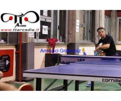 TENNIS TAVOLO TORINO ASTI VOLPIANO ARCADIA 10141