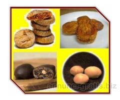 FICHI SECCHI CALABRESI