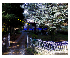 Casa indipendente immersa nel verde