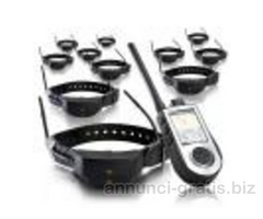 SportDog Tek 1.0 versione europea con una frequenza legale