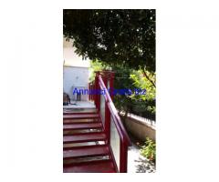 Appartamento con giardino a pochi metri dal mare