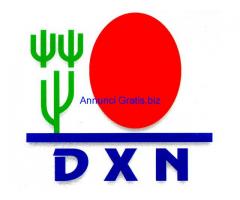 DXN ITALIA