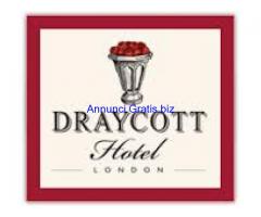 Barman, Waiter, Waitress, Chef, Driver