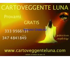 CARTOMANZIA 