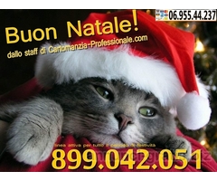 Leggere i Tarocchi per trovare la felicità 899 848 812