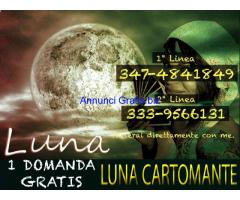 333 95 66 131 La luna delle cartomanti Cartomanzia di strada GRATIS