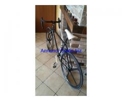 BICICLETTA SCATTO FISSO