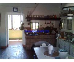 LUCCA COMICS CAMERA DOPPIA LIBERA