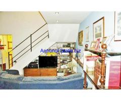 terratetteo San Piero a Ponti (signa)