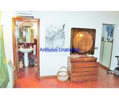 terratetteo San Piero a Ponti (signa)