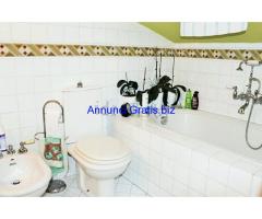 terratetteo San Piero a Ponti (signa)