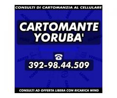 (¯`·._(¯`·._(Cartomante Yoruba')_.·´¯)_.·´¯)