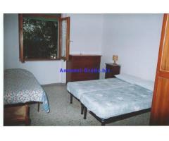 SARDEGNA LUMINOSISSIMA CASA VACANZE DI 70 MQ DISTANTE SOLO 100 METRI DAL MARE SPLENDIDO!!!