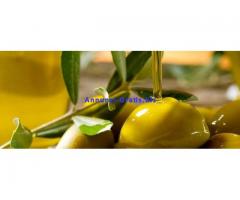 Olio extravergine oliva Bio750ml ITA100%